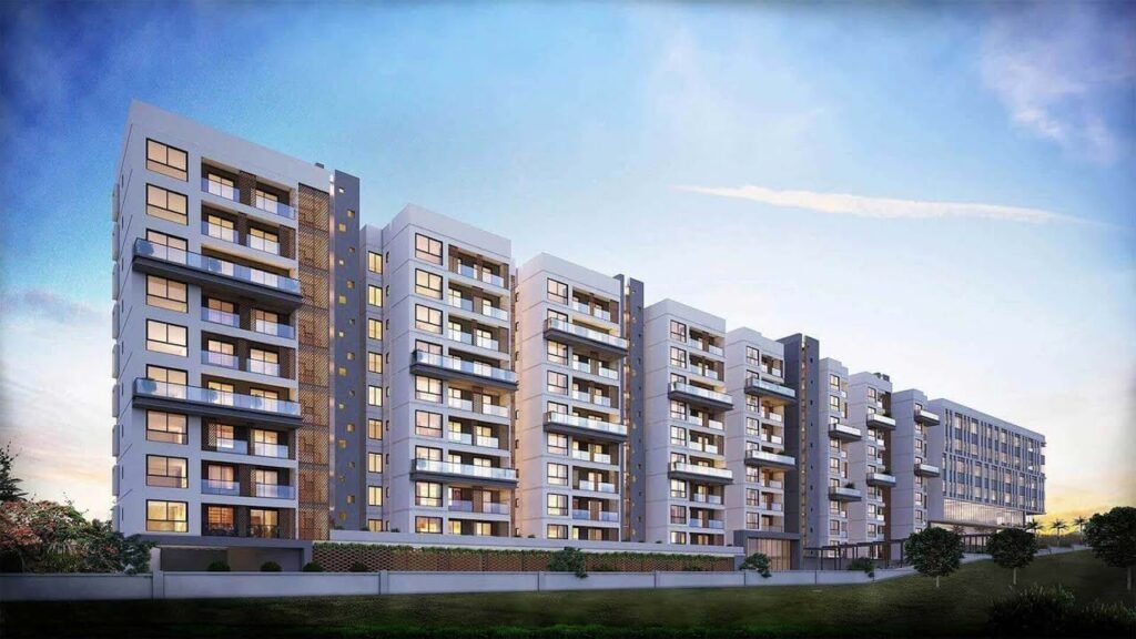 Why Investors Trust Horizon 1 Property Services